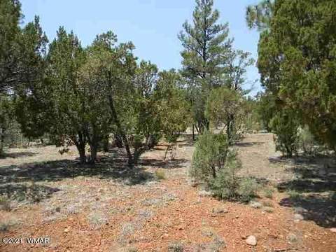2760 Jaguar Cir, Overgaard, AZ 85933 photo 16