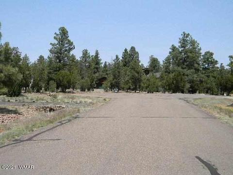 2760 Jaguar Cir, Overgaard, AZ 85933 photo 21