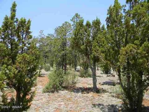 2760 Jaguar Cir, Overgaard, AZ 85933 photo 20