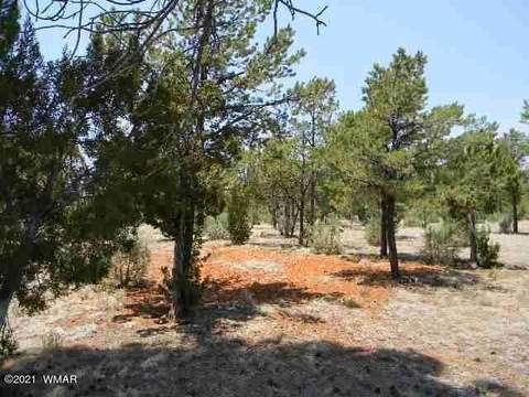 2760 Jaguar Cir, Overgaard, AZ 85933 photo 18