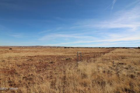1281 County Road 5020, Concho, AZ 85924