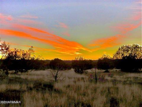 4452 N Quarry Rd, Ash Fork, AZ 86320 photo 3