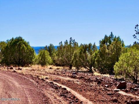 4452 N Quarry Rd, Ash Fork, AZ 86320 photo 4