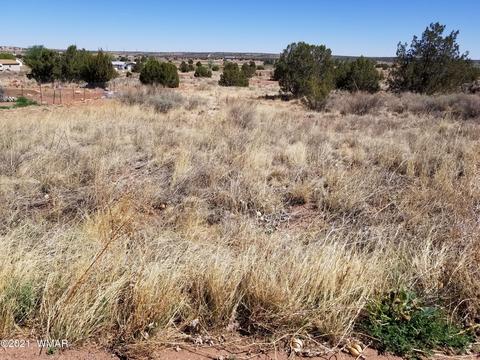 lot33 Ridgeview, Snowflake, AZ 85937