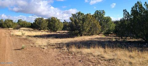 1812 E Smith Pl, Show Low, AZ 85901 photo 2