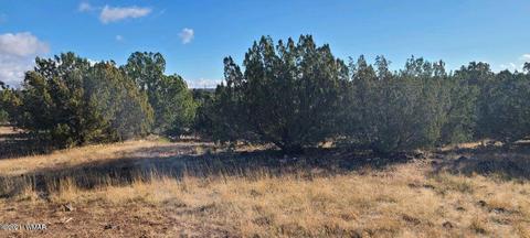 1812 E Smith Pl, Show Low, AZ 85901 photo 3