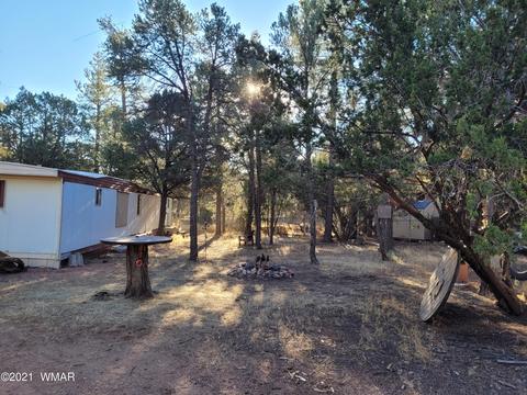 2973 Hunters Rd, Overgaard, AZ 85933 photo 20