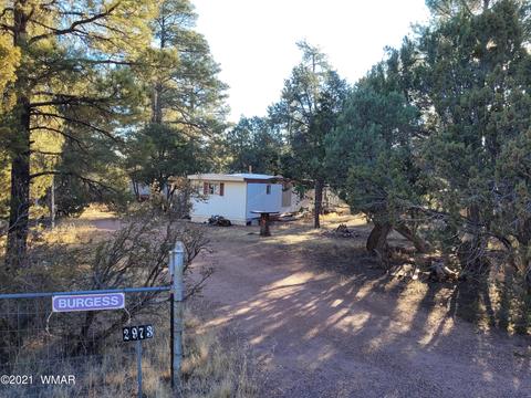 2973 Hunters Rd, Overgaard, AZ 85933 photo 18