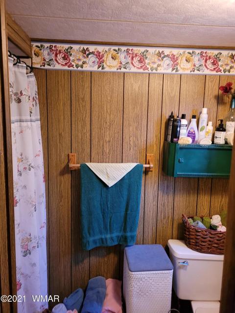 2973 Hunters Rd, Overgaard, AZ 85933 photo 7