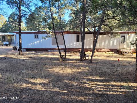 2973 Hunters Rd, Overgaard, AZ 85933 photo 17