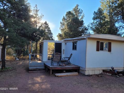 2973 Hunters Rd, Overgaard, AZ 85933 photo 19
