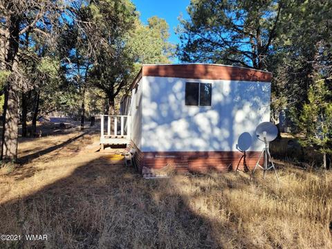 2973 Hunters Rd, Overgaard, AZ 85933 photo 16