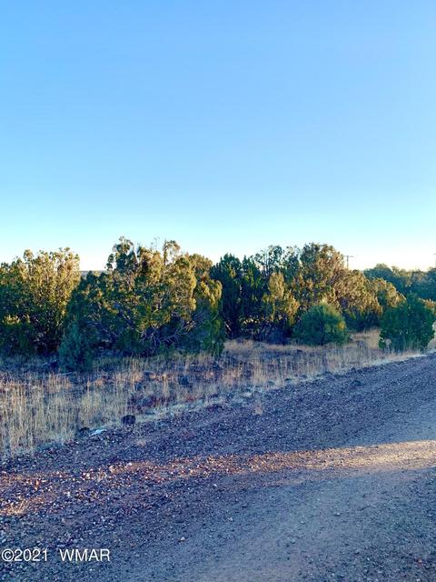 8428 Apache Dr, Show Low, AZ 85901 photo 2