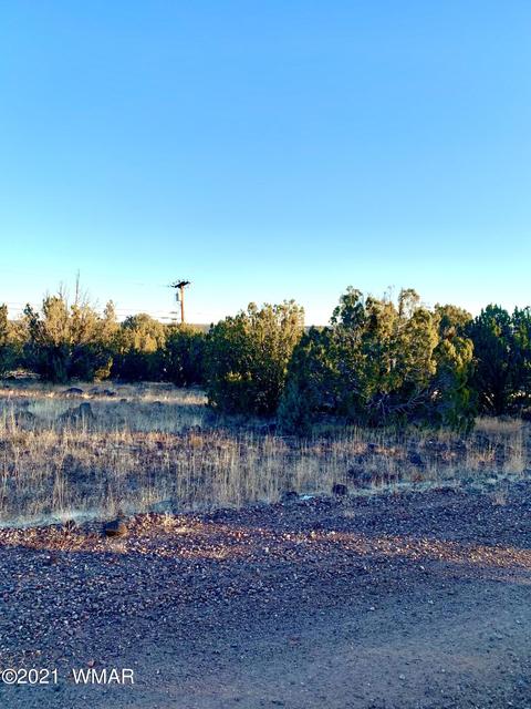 8428 Apache Dr, Show Low, AZ 85901 photo 3