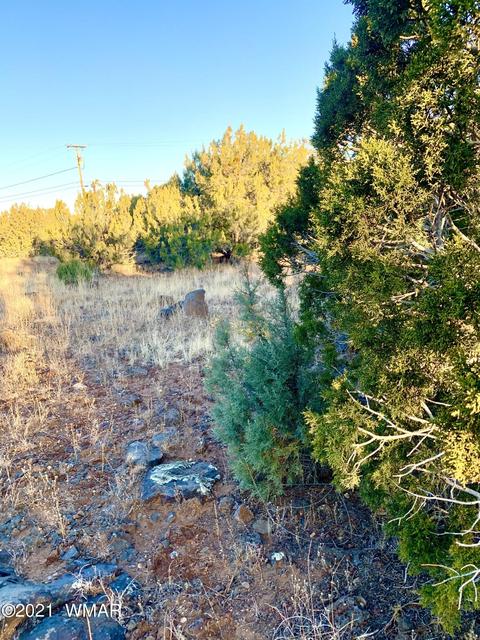8428 Apache Dr, Show Low, AZ 85901 photo 1
