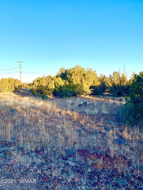 8428 Apache Dr, Show Low, AZ 85901 photo 5
