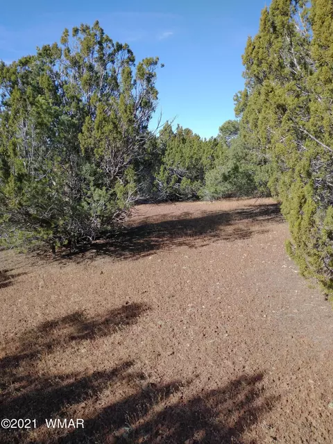 31 County Road N3128, Vernon, AZ 85940