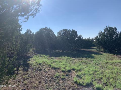 99 Cr 3168, Vernon, AZ 85940