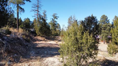 1905 Pine Dr, Overgaard, AZ 85933 photo 3