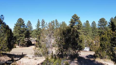 1905 Pine Dr, Overgaard, AZ 85933 photo 6