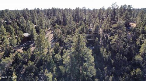 1905 Pine Dr, Overgaard, AZ 85933 photo 18