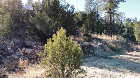 1905 Pine Dr, Overgaard, AZ 85933 photo 4