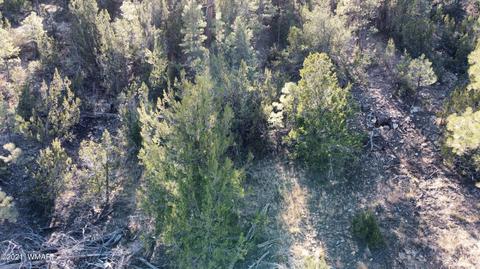 1905 Pine Dr, Overgaard, AZ 85933 photo 12