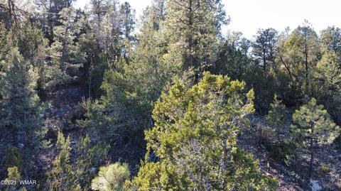 1905 Pine Dr, Overgaard, AZ 85933 photo 8