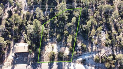 1905 Pine Dr, Overgaard, AZ 85933 photo 21