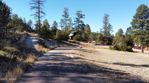 1905 Pine Dr, Overgaard, AZ 85933 photo 23