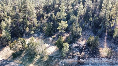 1905 Pine Dr, Overgaard, AZ 85933 photo 20