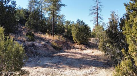 1905 Pine Dr, Overgaard, AZ 85933 photo 5