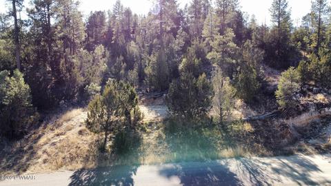 1905 Pine Dr, Overgaard, AZ 85933 photo 2