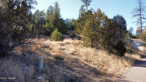 1905 Pine Dr, Overgaard, AZ 85933 photo 1