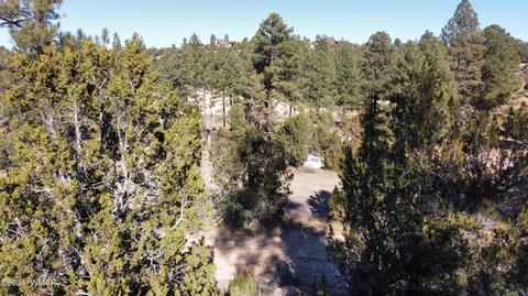 1905 Pine Dr, Overgaard, AZ 85933 photo 11