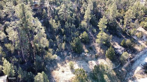 1905 Pine Dr, Overgaard, AZ 85933 photo 14