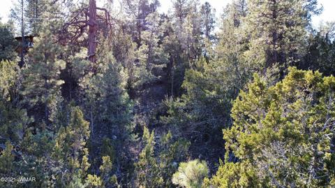 1905 Pine Dr, Overgaard, AZ 85933 photo 9