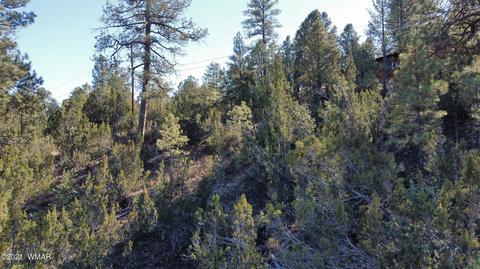 1905 Pine Dr, Overgaard, AZ 85933 photo 7