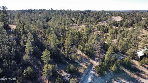 1905 Pine Dr, Overgaard, AZ 85933 photo 15