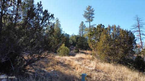 1905 Pine Dr, Overgaard, AZ 85933 photo 13