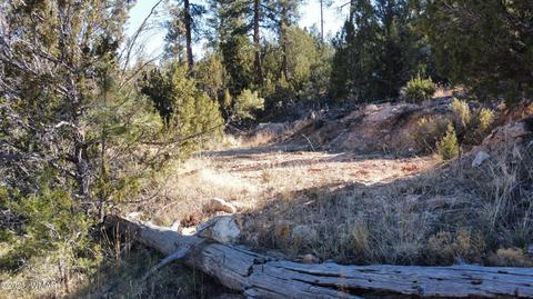 1905 Pine Dr, Overgaard, AZ 85933 photo 19