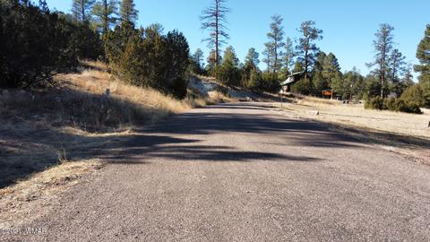 1905 Pine Dr, Overgaard, AZ 85933 photo 24