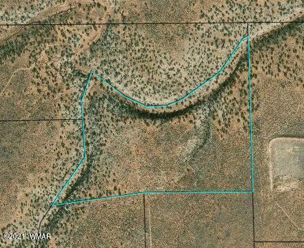 tbd Snowflake Rnch #LOT 35, Snowflake, AZ 85937