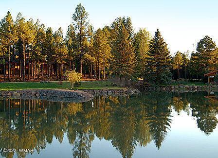 9534 Sierra Springs Ln, Pinetop, AZ 85935