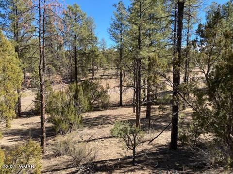 3342 Sawmill Ridge Loop, Heber, AZ 85928 photo 5