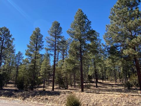 3342 Sawmill Ridge Loop, Heber, AZ 85928 photo 1