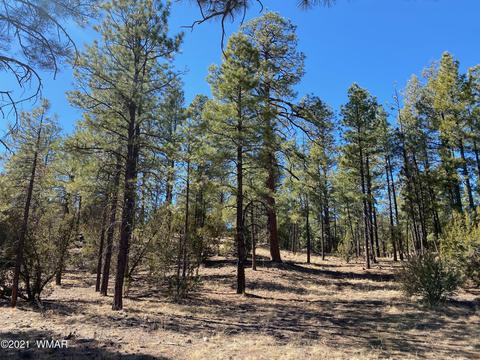 3342 Sawmill Ridge Loop, Heber, AZ 85928 photo 3