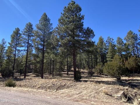 3342 Sawmill Ridge Loop, Heber, AZ 85928 photo 2