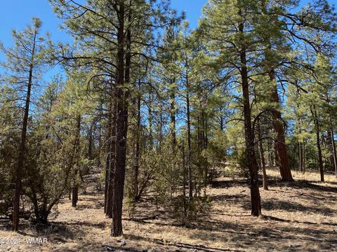 3342 Sawmill Ridge Loop, Heber, AZ 85928 photo 4