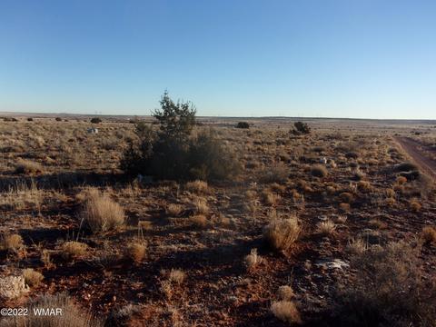 8184 Chipewa Trl, Snowflake, AZ 85937 photo 1